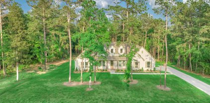 15706 Republic Grand Ranch Road, Willis
