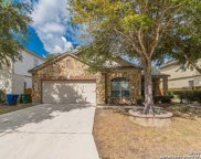 10803 Bramante Ln, Helotes image