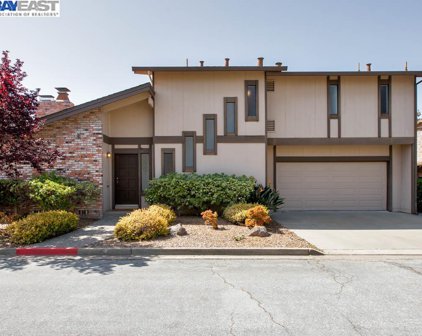 1227 Porta Ballena, Alameda