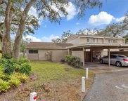 8649 Lake Isle Drive Unit 8649, Temple Terrace image