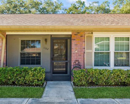 1102 Castlemay Circle, Dunedin