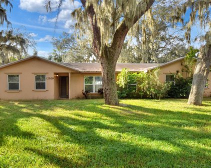 12929 Lincoln Road, Riverview