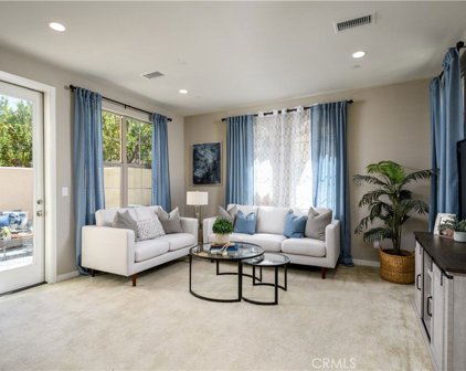 109 Tubeflower, Irvine