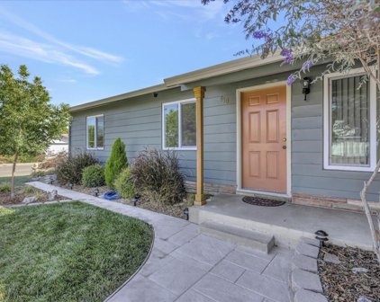 450 Palmer ST, Milpitas