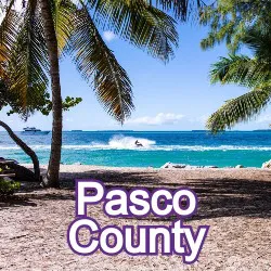Pasco County Florida Homes for Sale