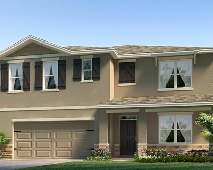 3509 Wild Bramble Court, Plant City