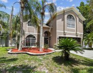 9308 Pontiac Drive, Tampa image
