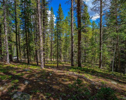 1111 Ridge View Trail, Idaho Springs