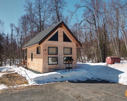 14912 Petwood Circle, Talkeetna