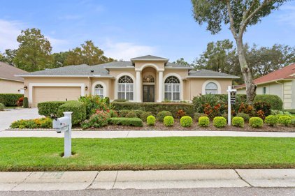7115 Wareham Drive, Tampa