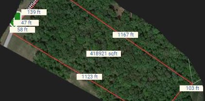 Rattletrap Rd Unit #LOT 56, Ruther Glen