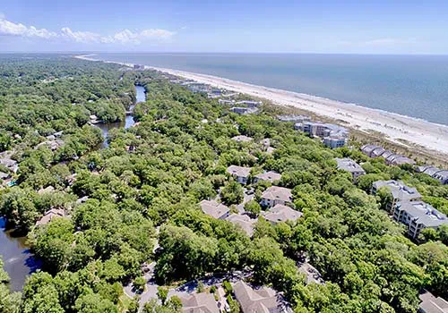 palmetto dunes