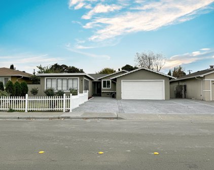 461 N Abbott AVE, Milpitas