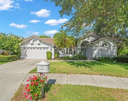 1119 Hounds Run, Safety Harbor