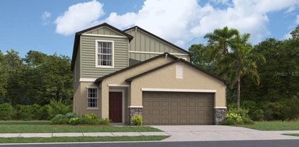 11069 Flourish Drive, Land O' Lakes