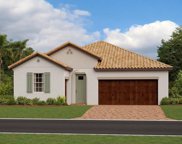 17115 Holly Well Avenue, Wimauma image