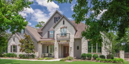 27406 Hazy Landing Court, Spring
