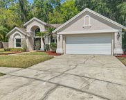 16107 Cadbury Court, Tampa image