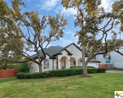 11209 Limoncillo Court, Austin