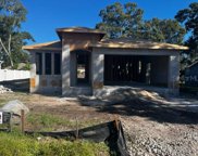 1713 W Powhatan Avenue, Tampa image