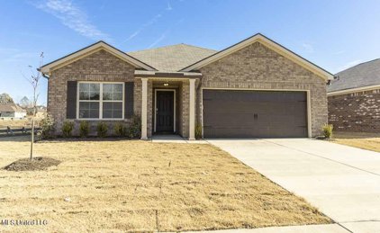 8696 Mary Frances Drive, Southaven