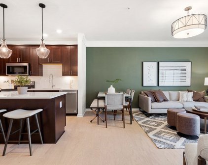 6 Peters Farm Way Unit 111, Westborough
