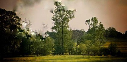 5 acres Huckaby Bridge Road, Hartselle