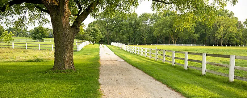 Acreage for Sale