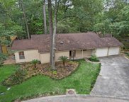 2203 Millpark Drive, The Woodlands image