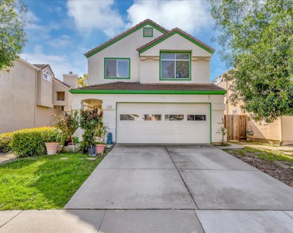 1250 Elkwood DR, Milpitas