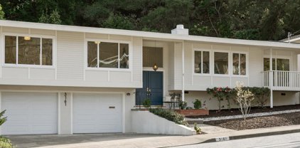 3161 Brittan AVE, San Carlos