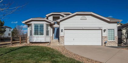 7041 Leopard Gate, Littleton
