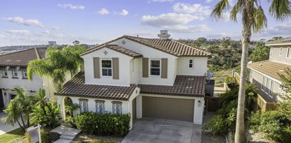 3419 Pleasant Vale, Carlsbad