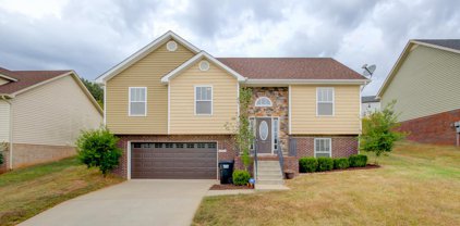 1037 Ishee Dr, Clarksville