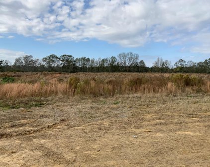 Lot 4 Block A County Road 625, New Brockton