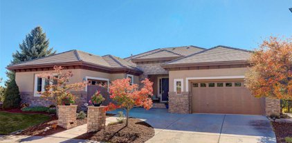 2702 Stonecrest Point, Highlands Ranch