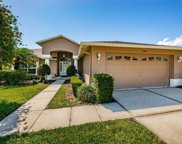 11846 Washburn Place, Trinity image