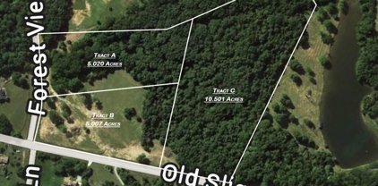 Tract A Forest View Lane, La Grange