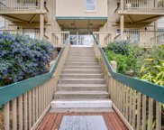 376 Imperial WAY 113, Daly City image