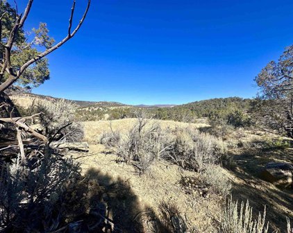 TBD Cactus Park Rd, Cedaredge
