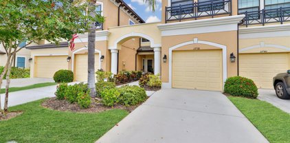 11738 Crowned Sparrow Lane, Tampa