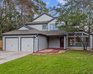 11 Shallow Pond Court, The Woodlands image