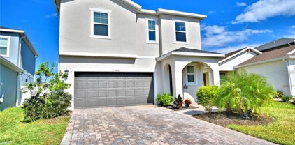 34063 White Fountain Court, Wesley Chapel