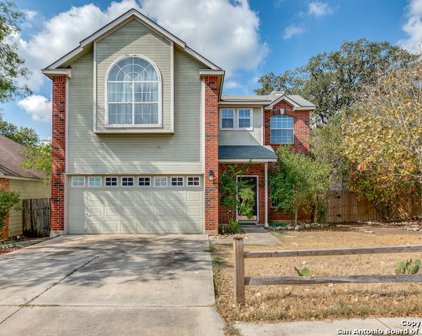 16002 Rough Oak St, San Antonio
