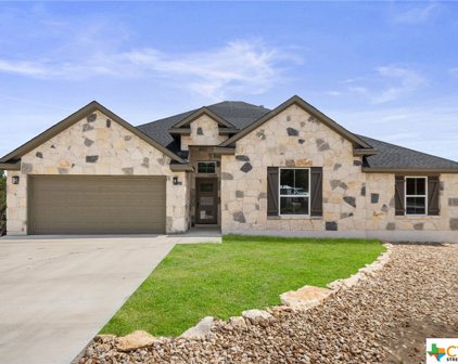 16 Cripple Creek Court, Wimberley
