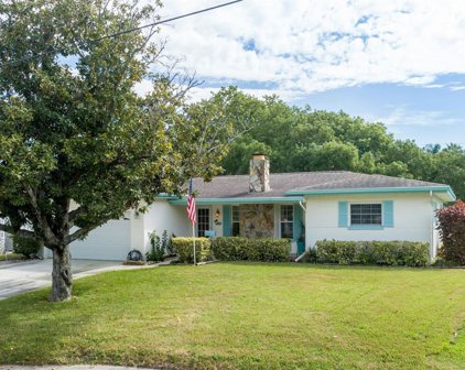 1171 Idlewild Drive S, Dunedin