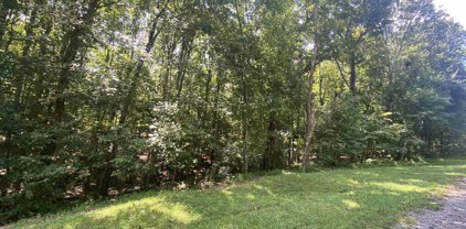 County Road 66, Fort Payne