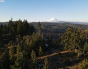Rattlesnake RD, White Salmon image