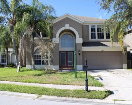 2553 Micah Drive, Trinity