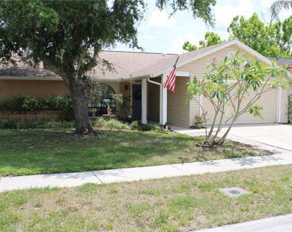 1732 Pintail Court, Lutz